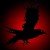 Avatar de The Black Crow